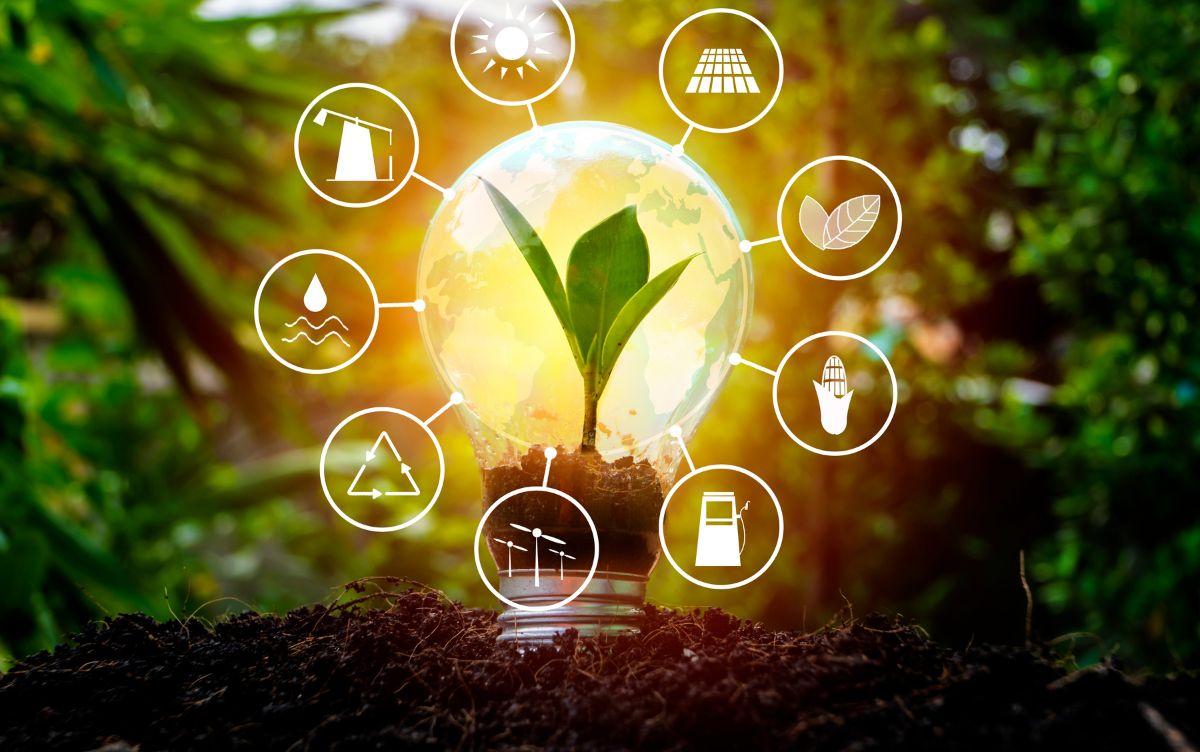 Energy manager e sostenibilità: lampadina con pianta e icone di energie rinnovabili, efficienza e risparmio energetico